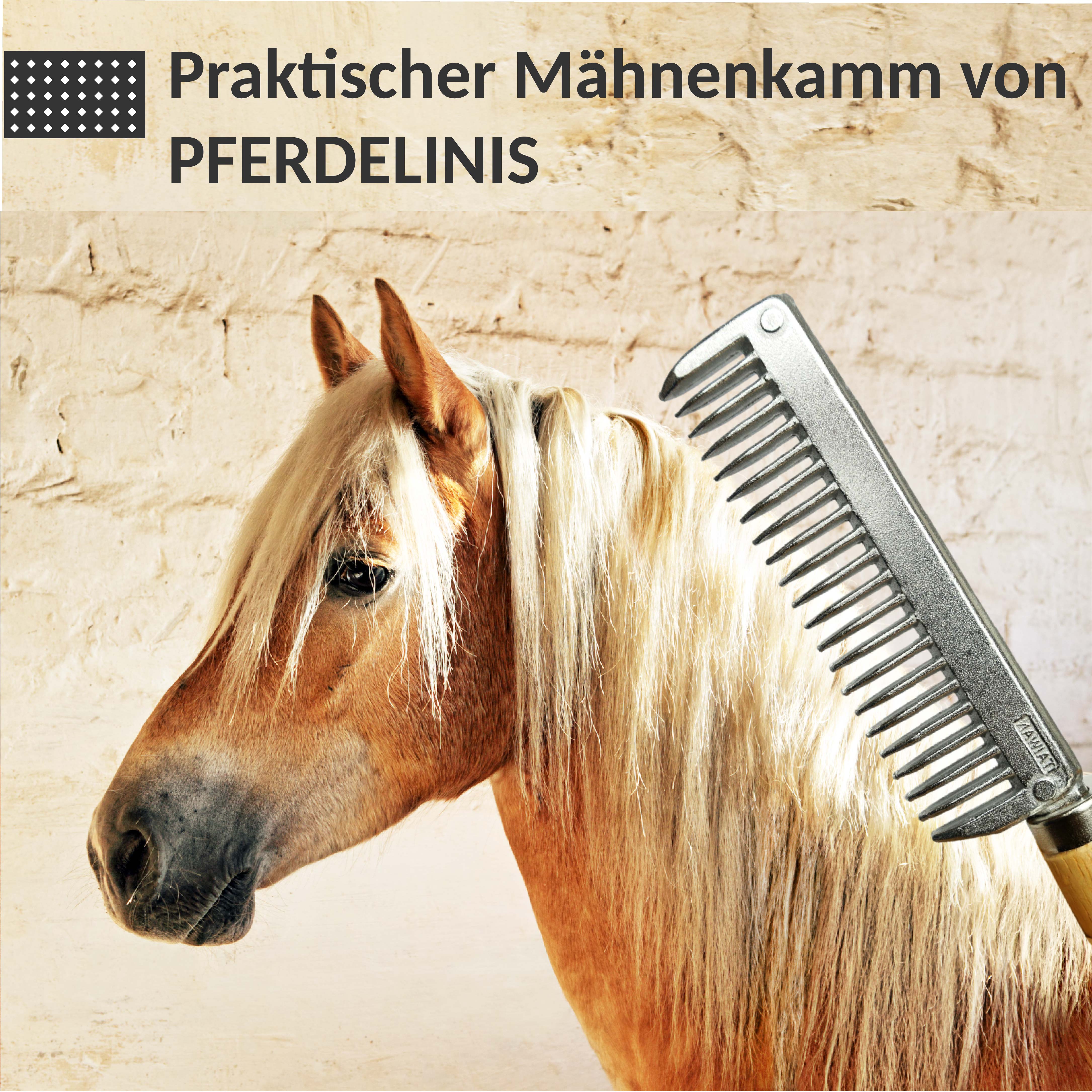 Mähnenkamm aus Metall mit stabilem Holzgriff